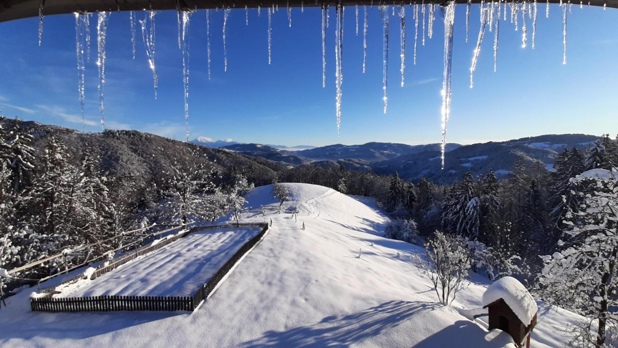 Healing Farm Apartment Gorenja Vas (Gorenja Vas-Poljane)